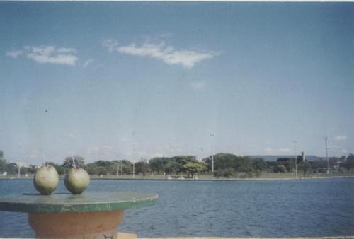 Parque da cidade Brasília